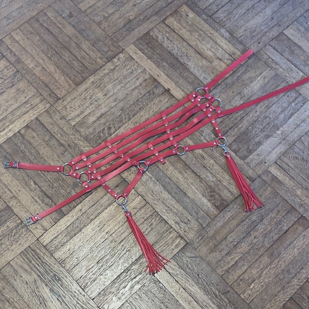 Red o ring harness belt